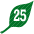 25